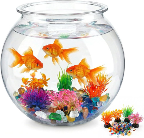 Gallon clear plastic fish - 1,