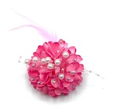 Ladies Small Feather Beak Clip