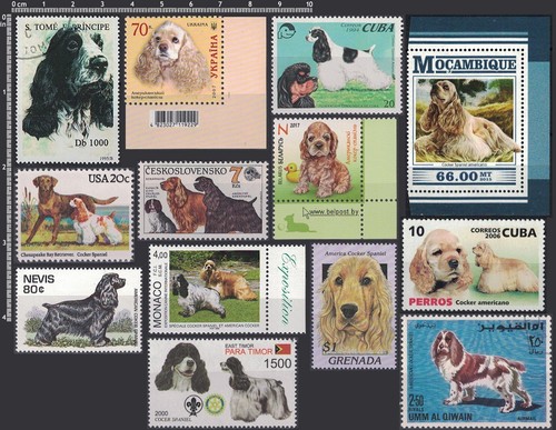 Amcs frame dog breed - -,