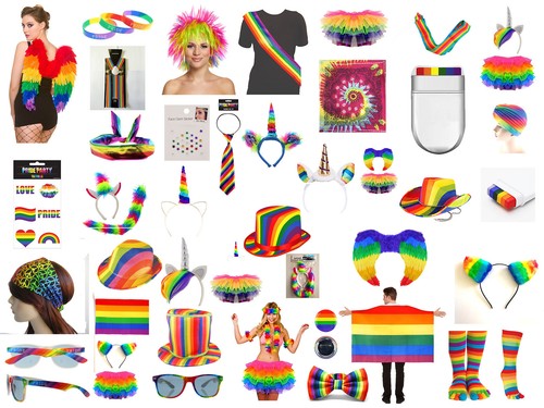 Gay pride fancy dress - pride,