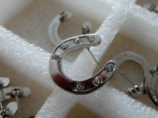 Horseshoe Brooch with 7