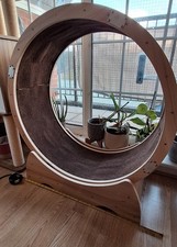 Wooden Cat Wheel 32inch Cat