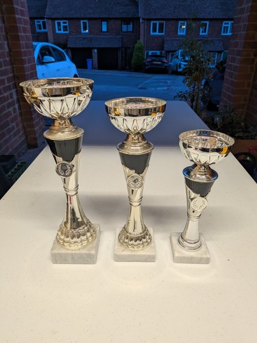 Silver trophy cup - cup, 3