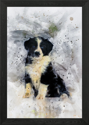 Border collie puppy framed - puppy,