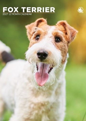 Fox terrier dog 2027 - terrier, calendars