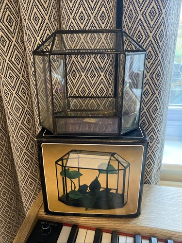 Vintage glass terrarium for - glass,