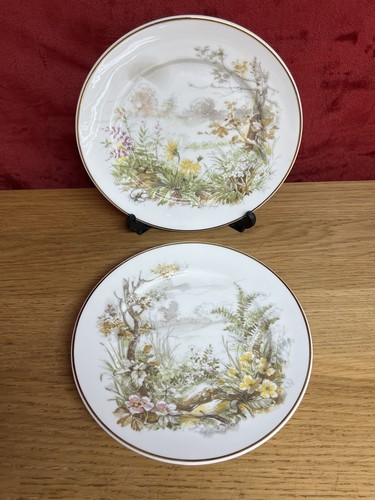 Polly anna fine bone china - fine,
