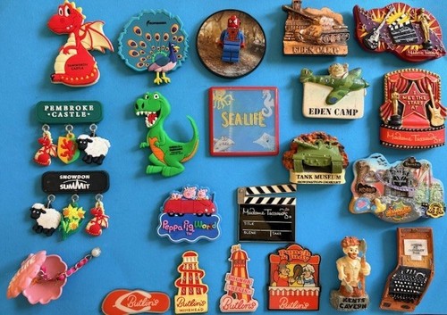 Souvenir fridge magnet - ,