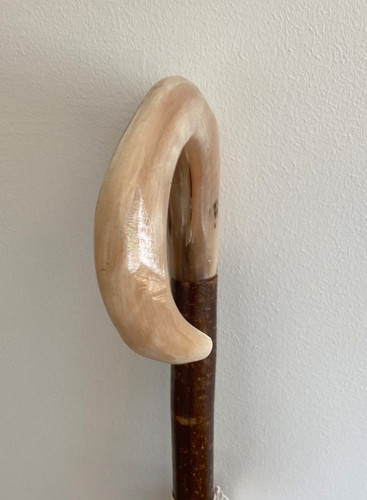 Rams horn curly - rams,