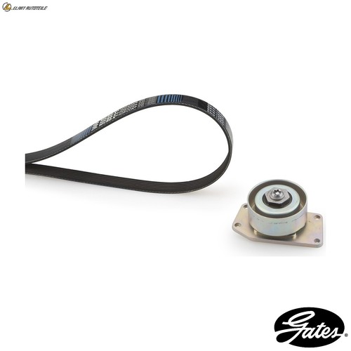 Ribbed belt kit k016pk1010 - v-ribbed,