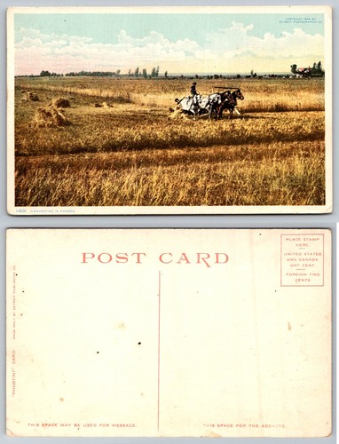 Kansas harvesting farm - kansas,