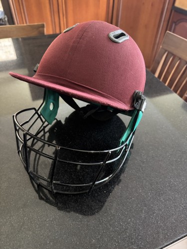 Gray nicholls helmet large - gray,