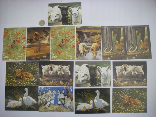 Pollyanna pickering animal - pickering,