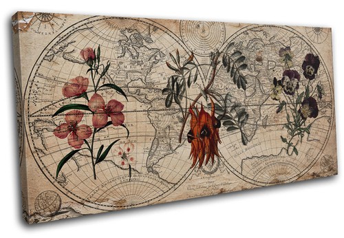 Botanical floral shabby chic - shabby,