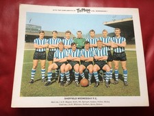Typhoo tea football - tea, team