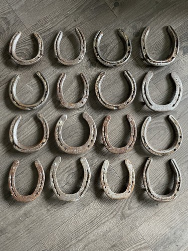 Used lucky horse - horse, shoe.