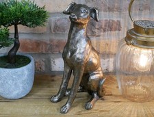 Greyhound Whippet Style