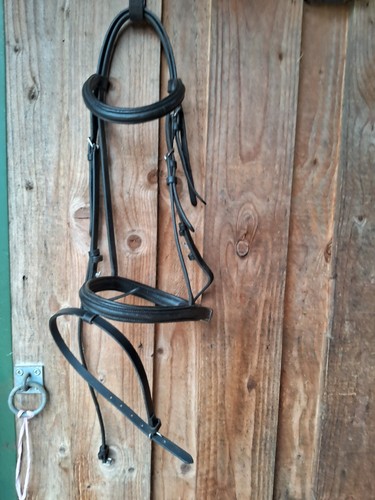 Whitikar bridle with flash - whitikar,