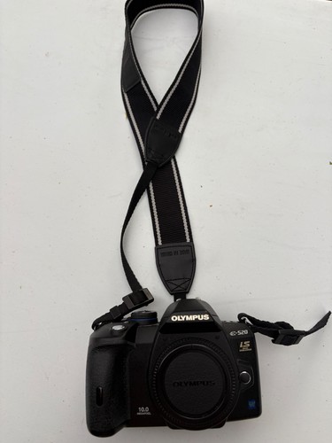 Olympus e520 camera - olympus,
