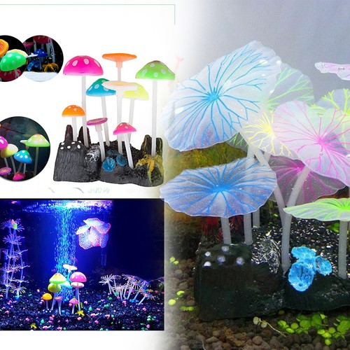 Aquarium fish tank plants - tank,