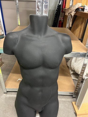 Male half body plastic - male,