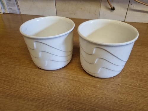 West german white plant - west, pot