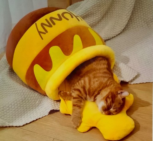 Very pooh bear hunny - very,