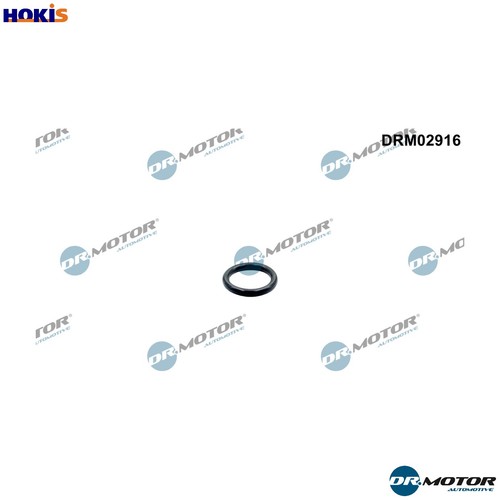 Gasket oil outlet - oil,