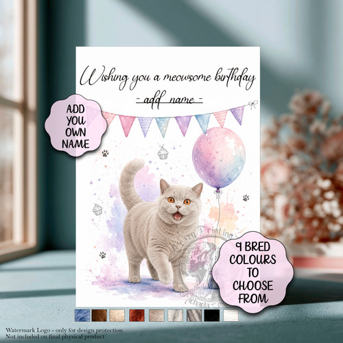 British shorthair cat - shorthair, birthday