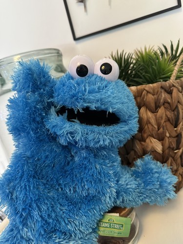 Sesame street gund cookie - sesame,