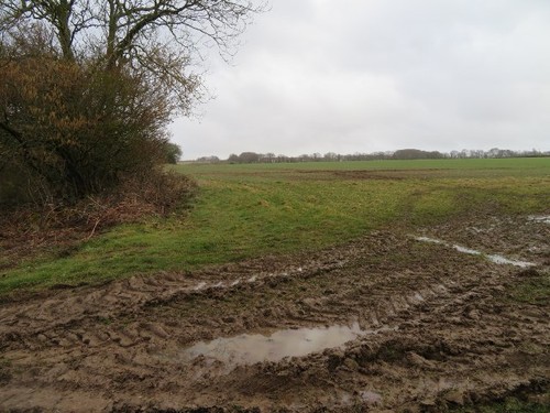 Photo 6x4 hither - hither, villands