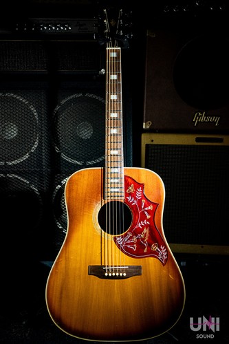 Gibson hummingbird custom - gibson, /