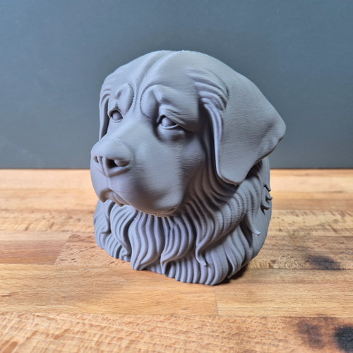 Tibetan mastiff bust - tibetan,