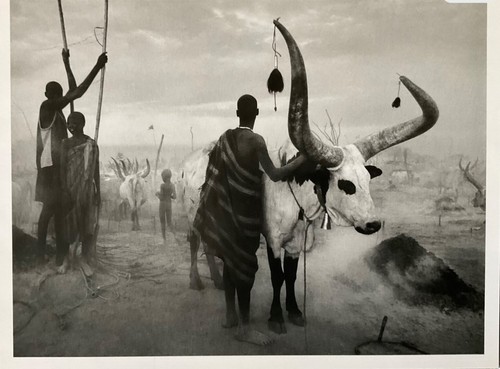 Sebastiao salgado warhol - sebastiao, (warhol