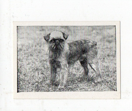 Candy novelty trade - card, dog