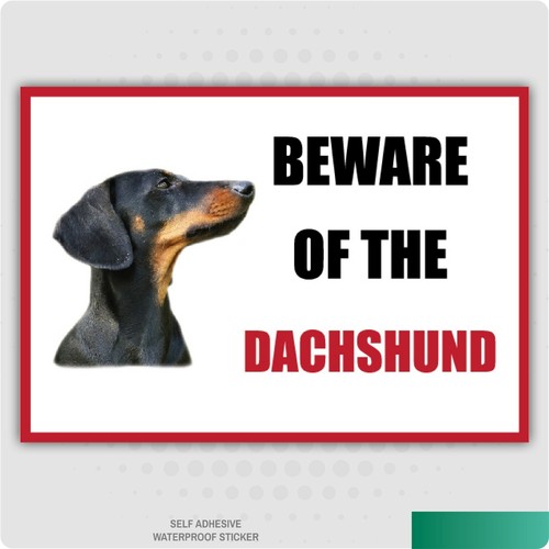 Funny beware the dachshund - beware, of