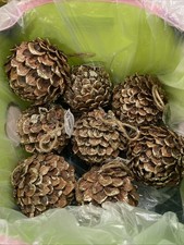 8 Round  Round Jumbo Pinecones  Ornaments New