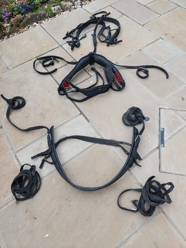 Nylon webbing driving harness - webbing,