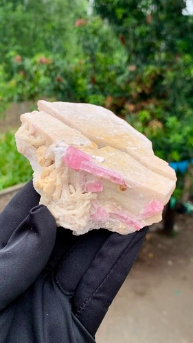 Pink tourmaline specimen with - ,