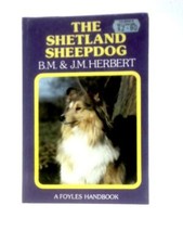 The Shetland Sheepdog (Beryl