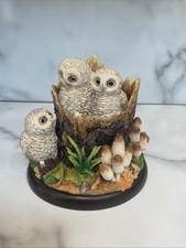 Border Fine Arts Birds Owls