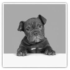 2 x Square Stickers 10 cm -