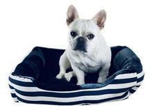 Cozy Dog Bed Blue Stripe