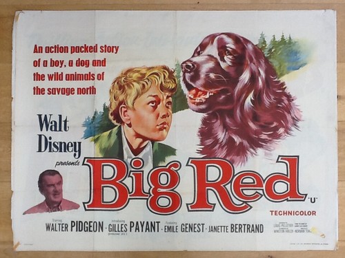 Disney big red film - poster, uk