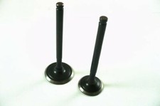 Pit Bike Dirt Bike Monkey Kids