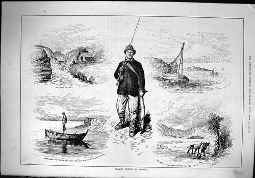 Old print 1879 salmon - old,