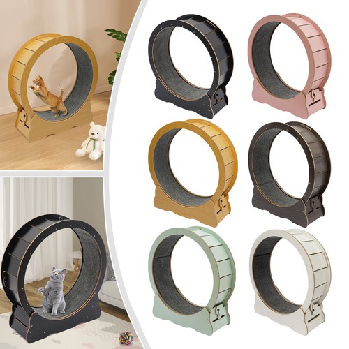 Cat exercise wheel large - cat,
