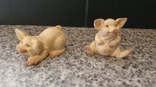 A pair of pigs just being pigs