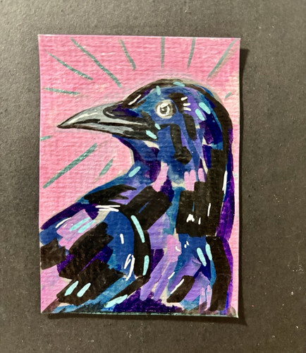 Aceo original raven - aceo, 3.7