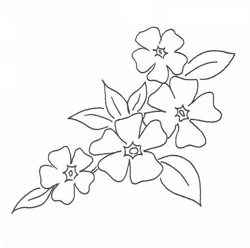 Embroidery transfer iron - transfer,